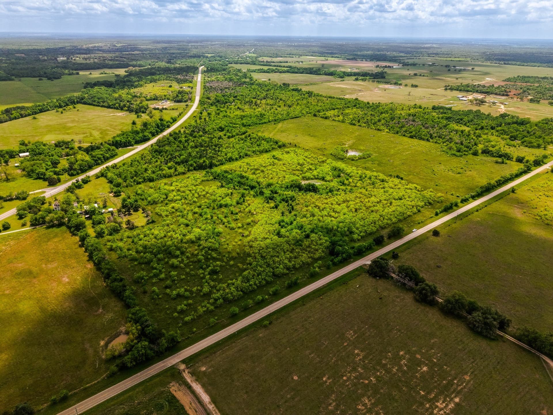12.28 acres in Limestone County - photo 8
