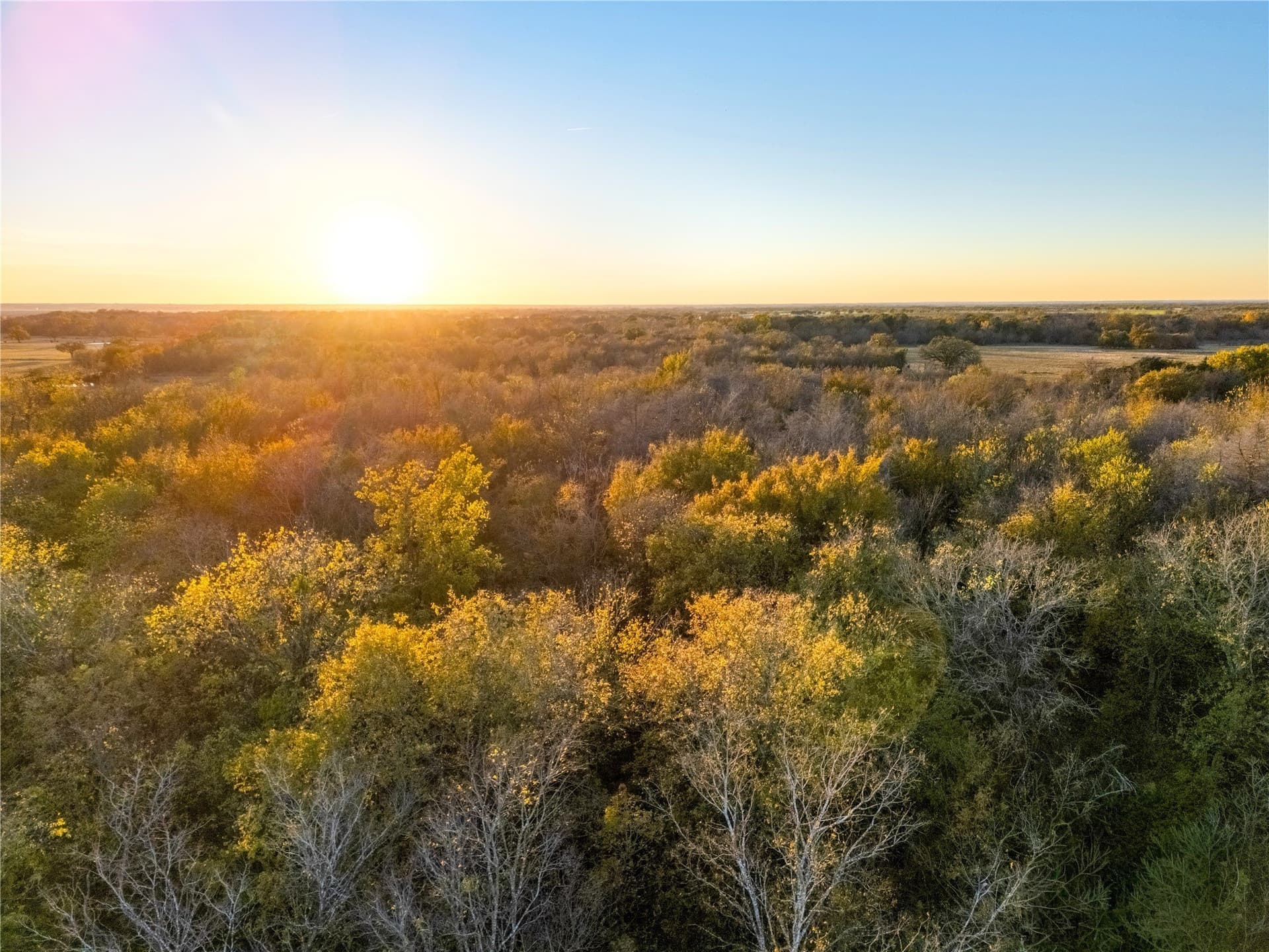 14.6 acres in Falls County - photo 11