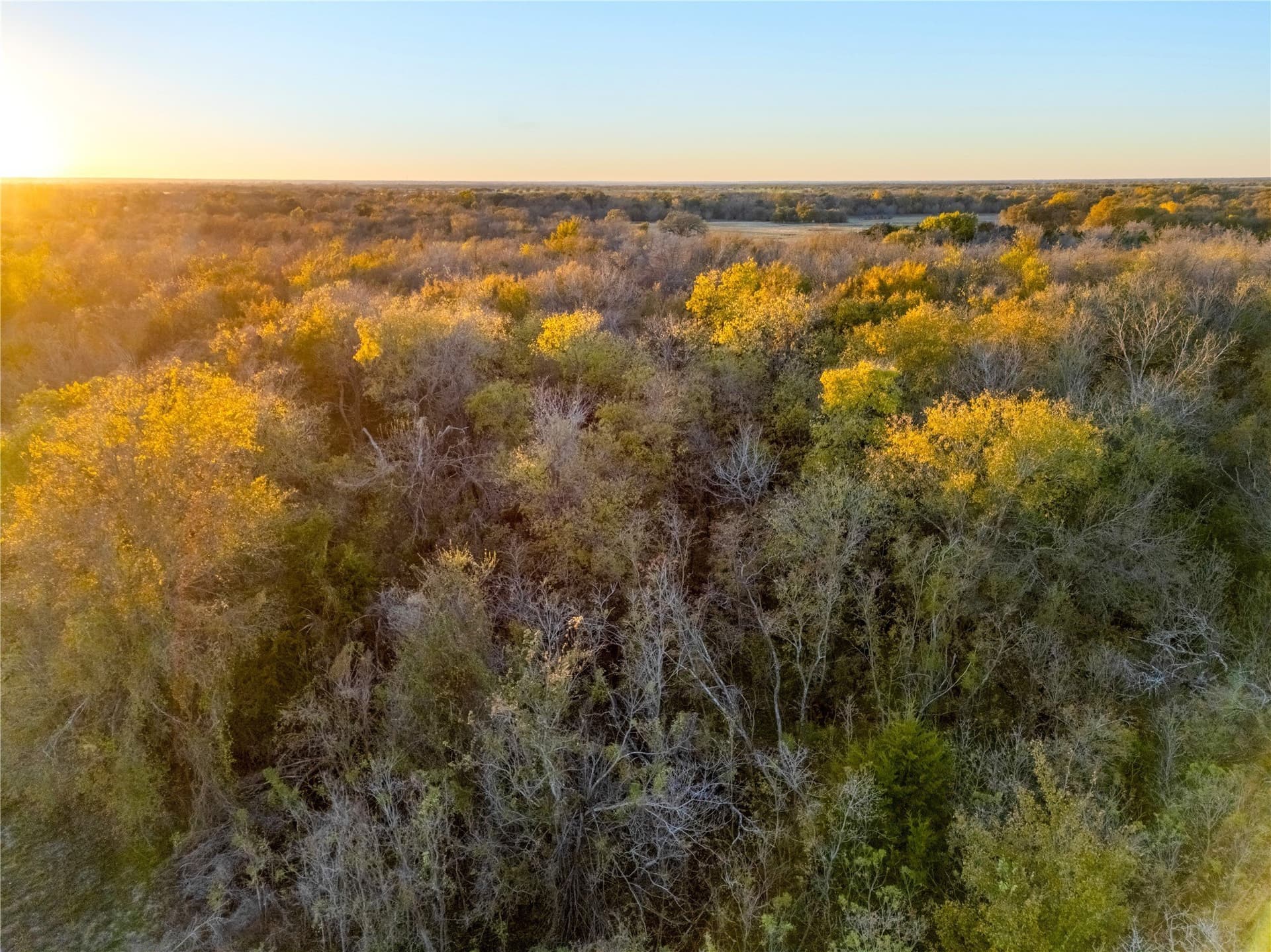 14.6 acres in Falls County - photo 13