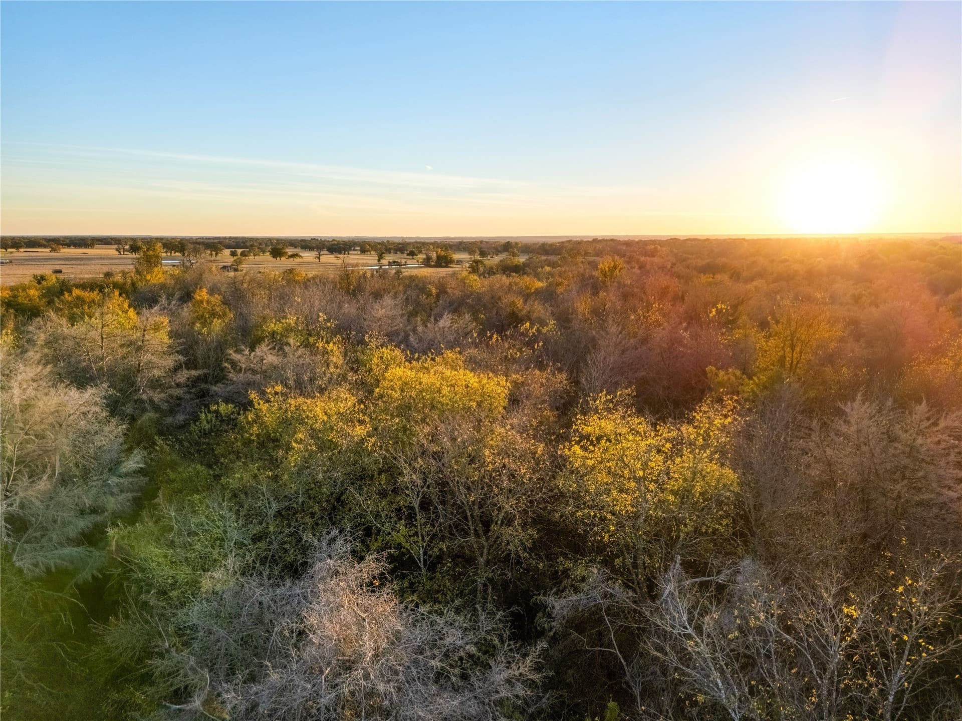 14.6 acres in Falls County - photo 12