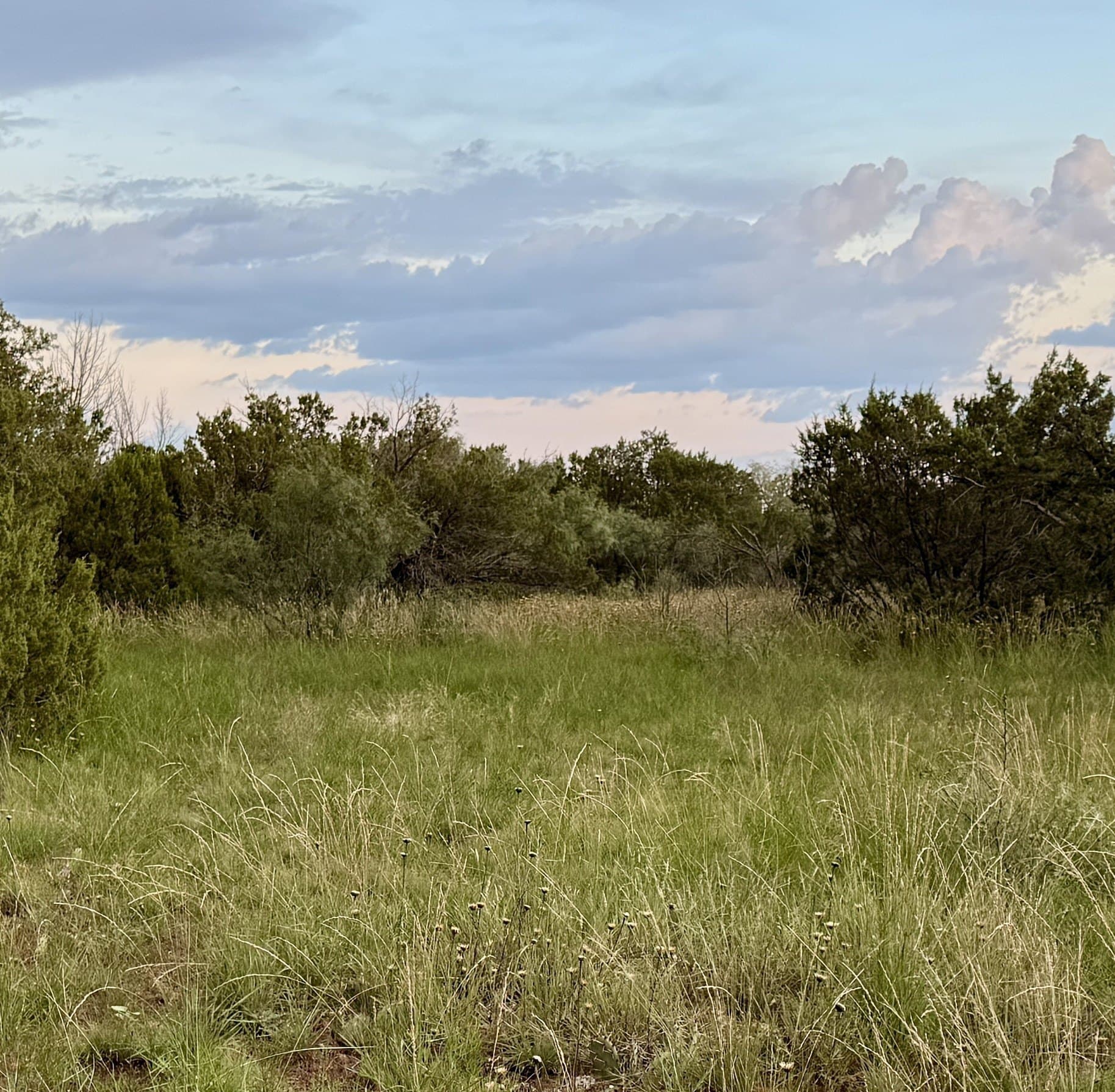 100 acres in Hardeman County featured view