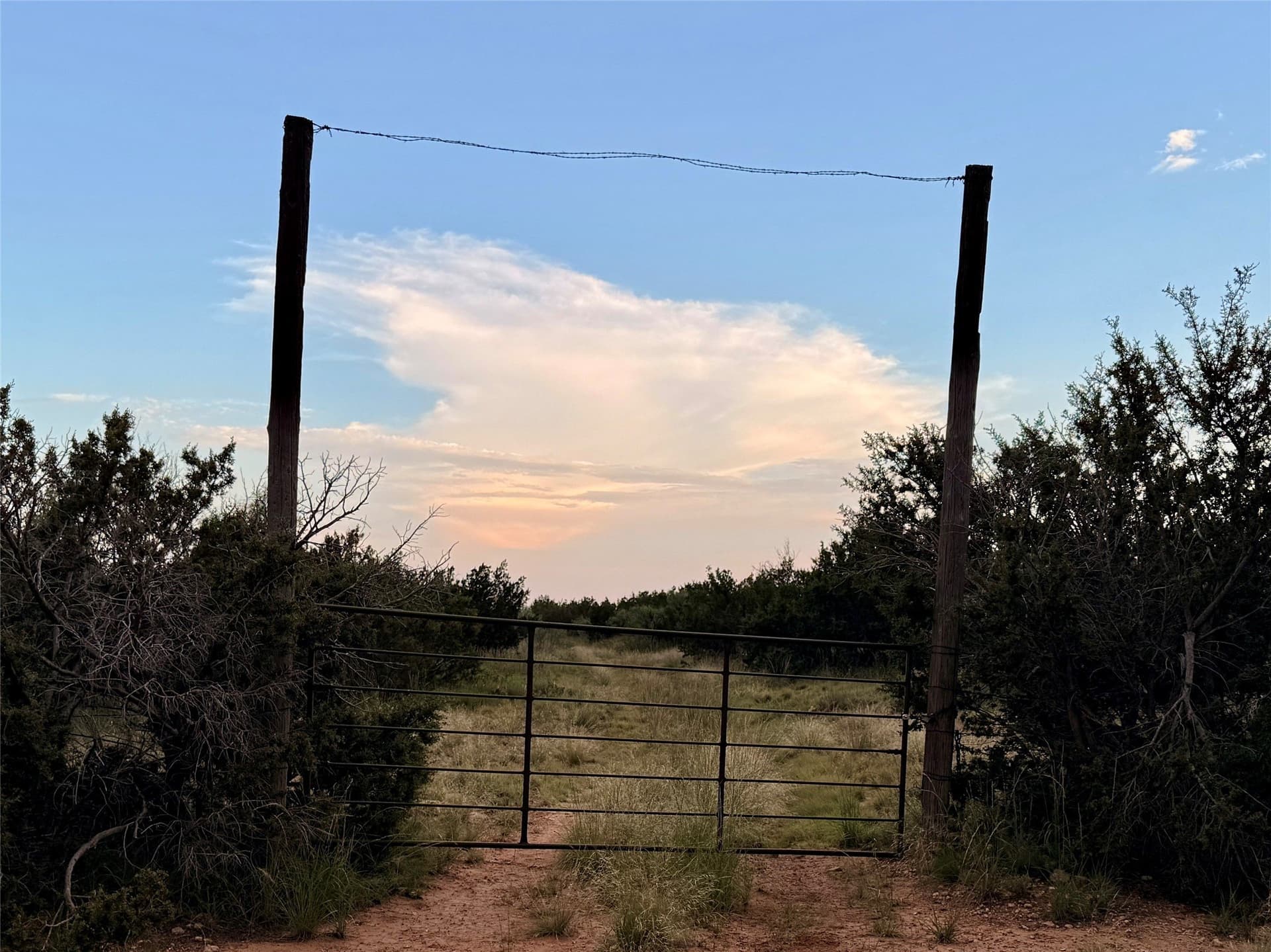 100 acres in Hardeman County gallery image 4