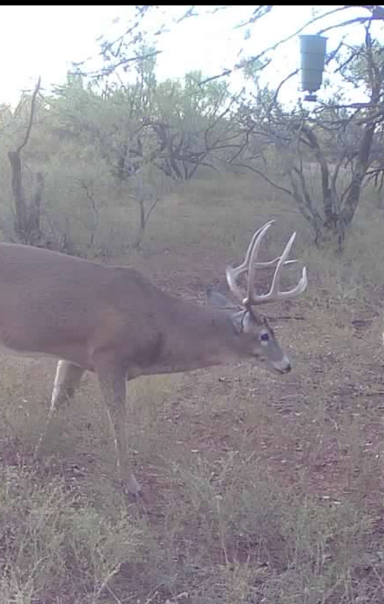 100 acres in Hardeman County