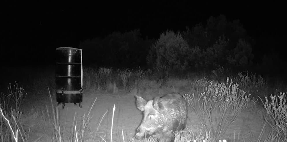 100 acres in Hardeman County gallery image 3