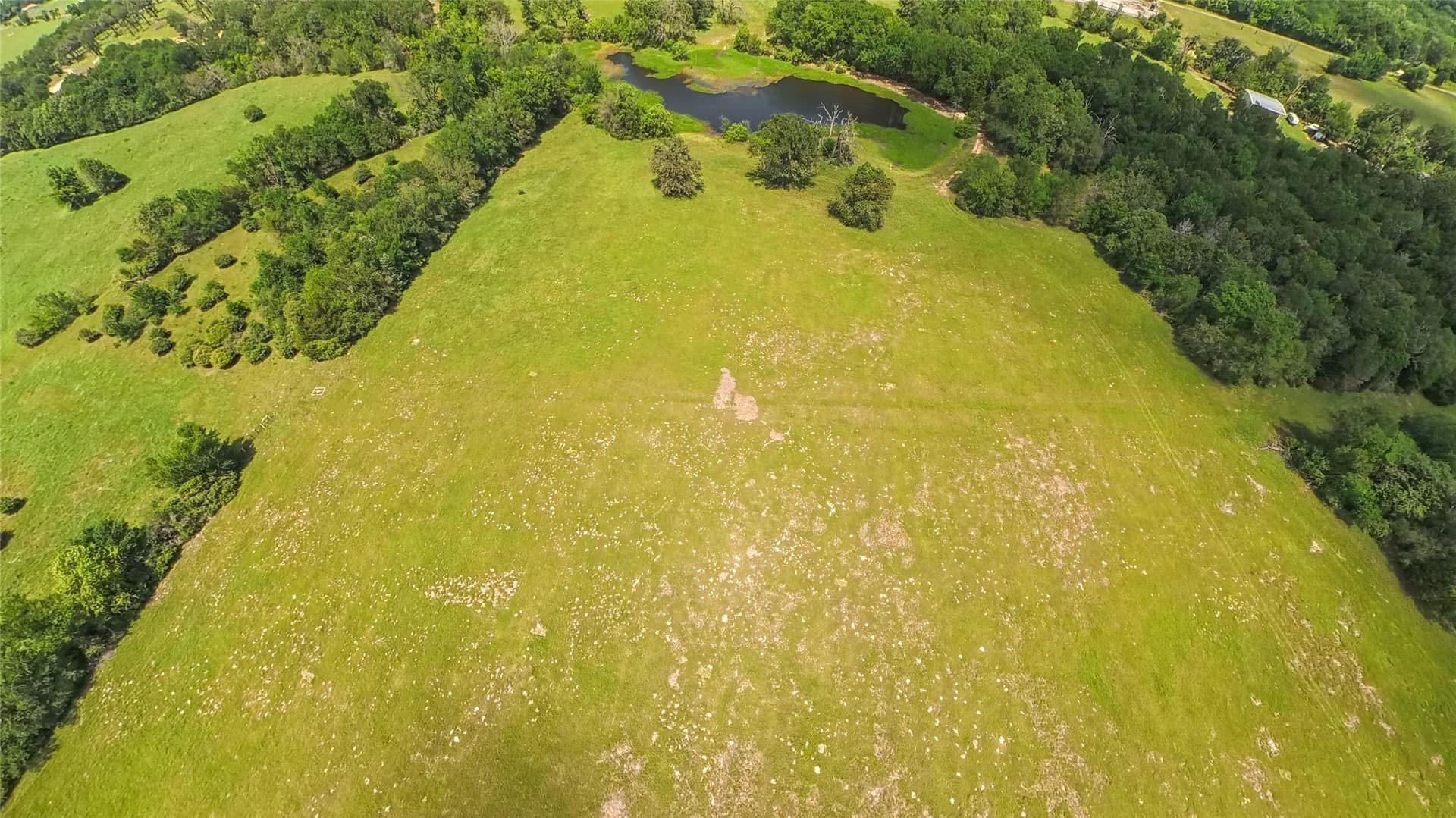 39.27 acres in Limestone County - photo 20