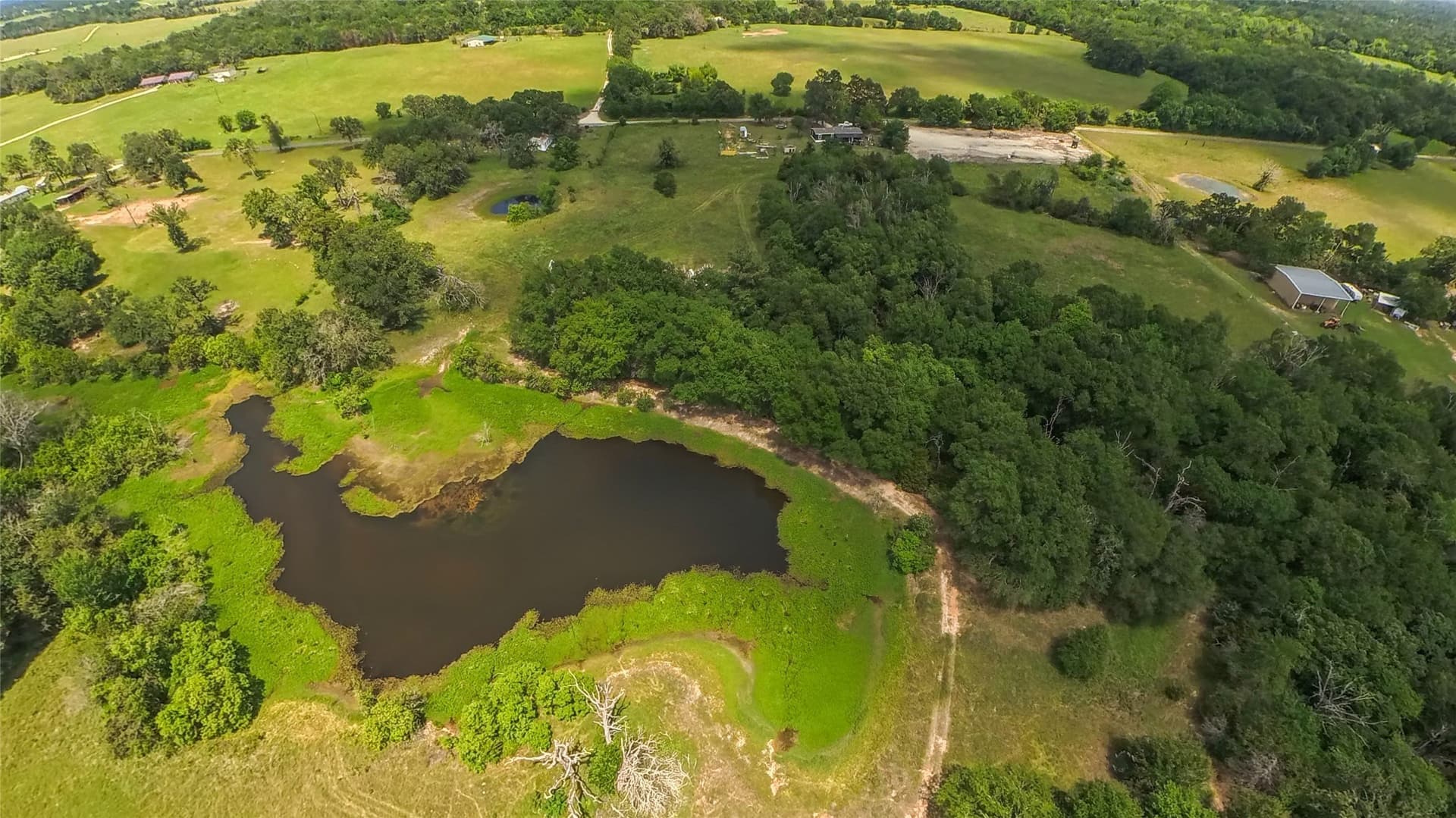 39.27 acres in Limestone County - photo 21