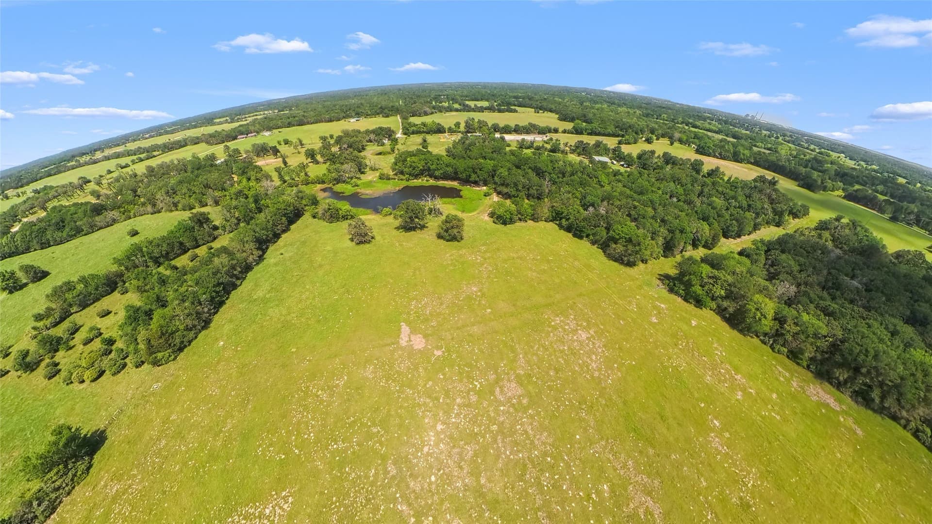 39.27 acres in Limestone County - photo 13