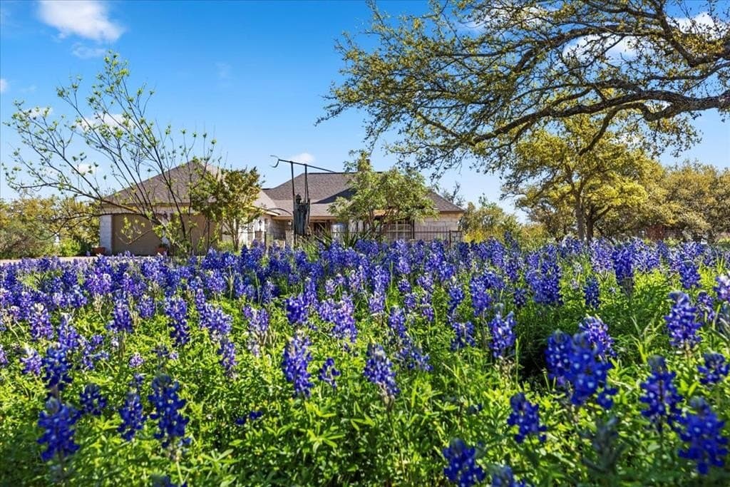 15 acres in Blanco County gallery image 3