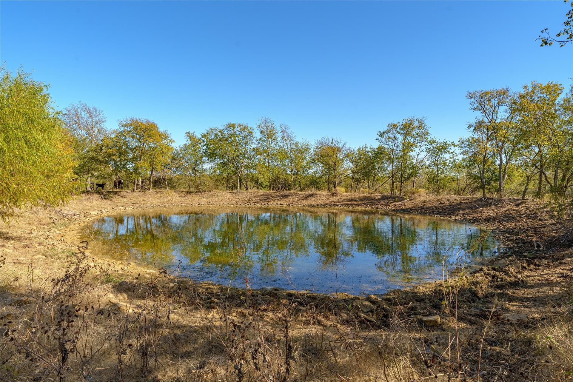 100.49 acres in McLennan County - photo 27