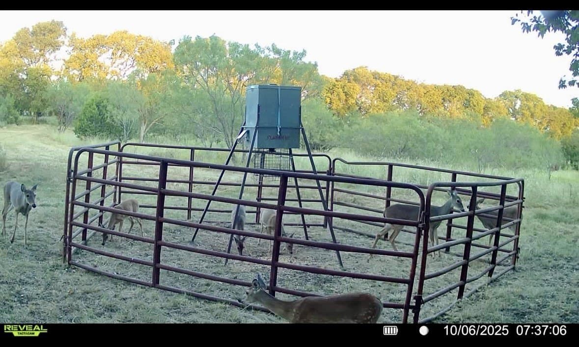 100.49 acres in McLennan County - photo 39
