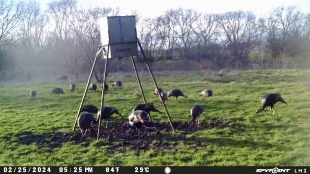 100.49 acres in McLennan County - photo 38