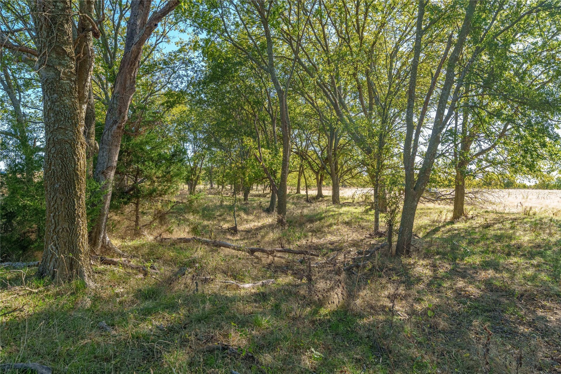100.49 acres in McLennan County - photo 3