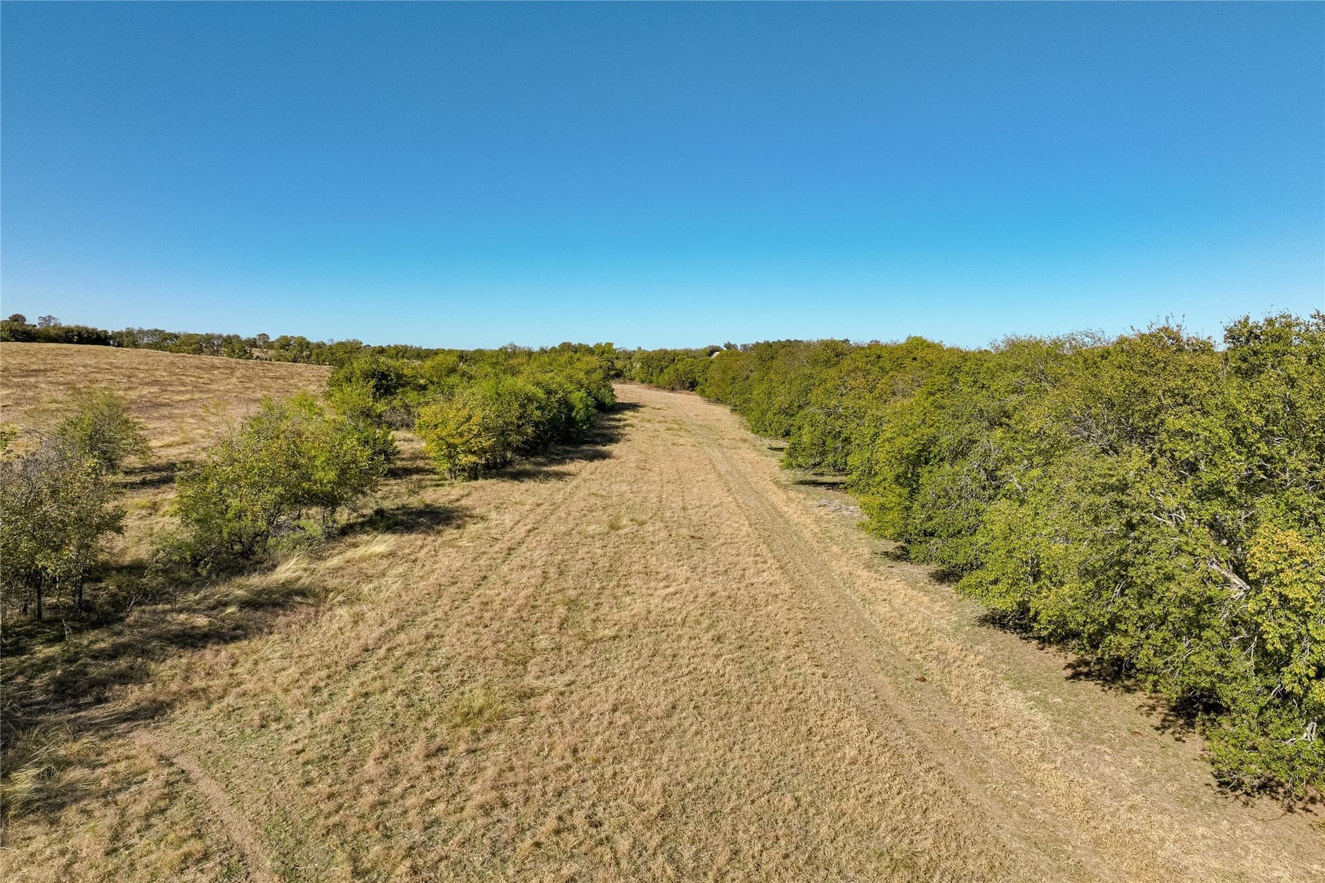 100.49 acres in McLennan County - photo 7