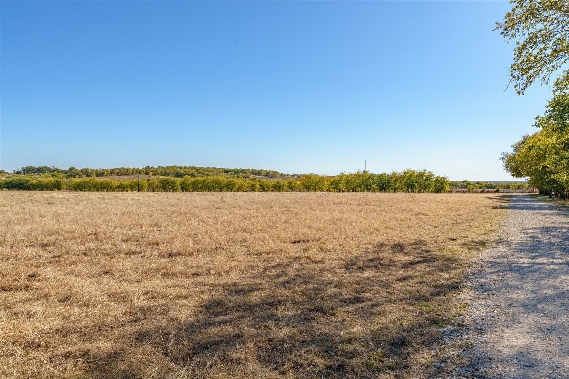 100.49 acres in McLennan County - photo 8