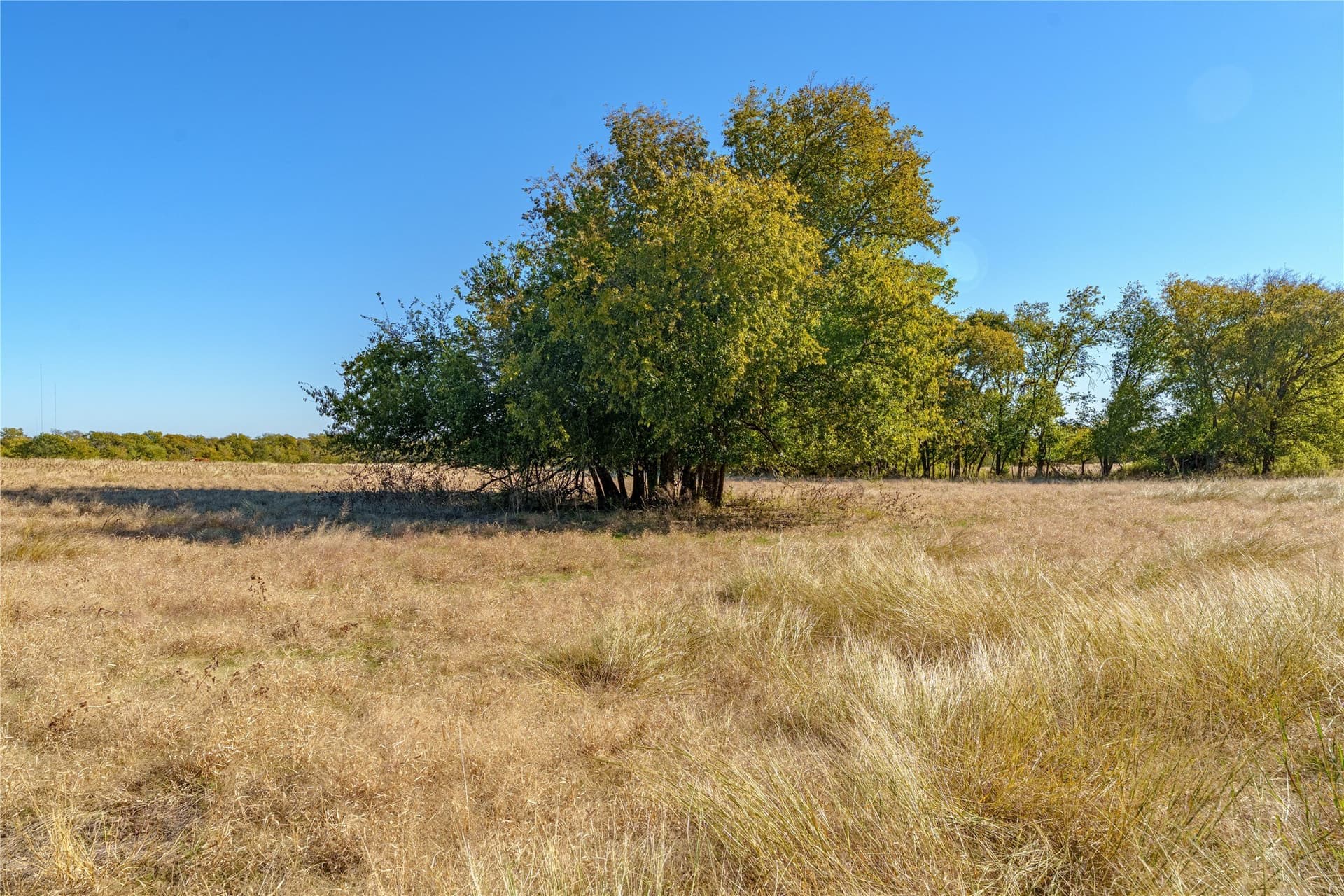 100.49 acres in McLennan County - photo 18