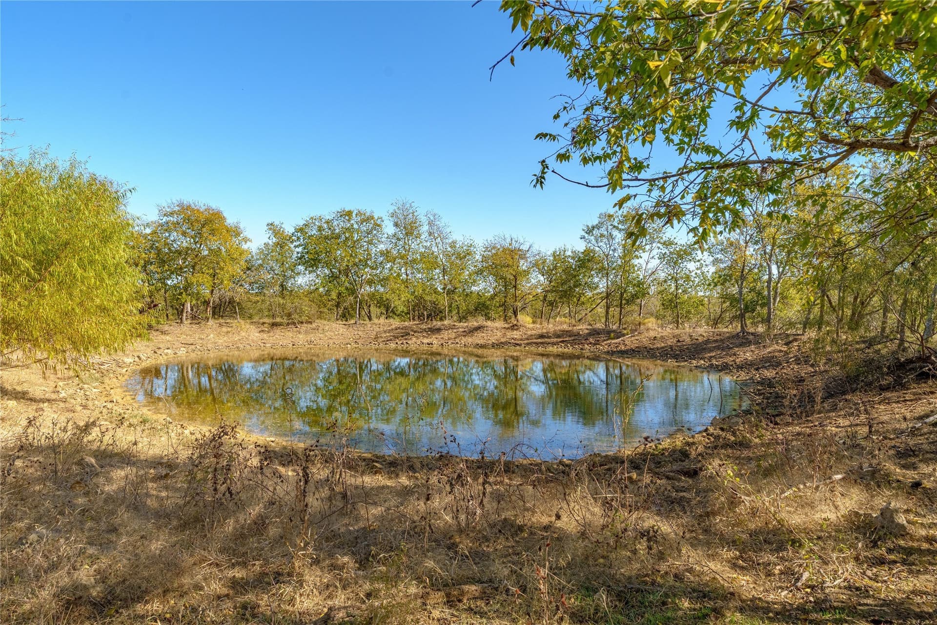 100.49 acres in McLennan County - photo 2