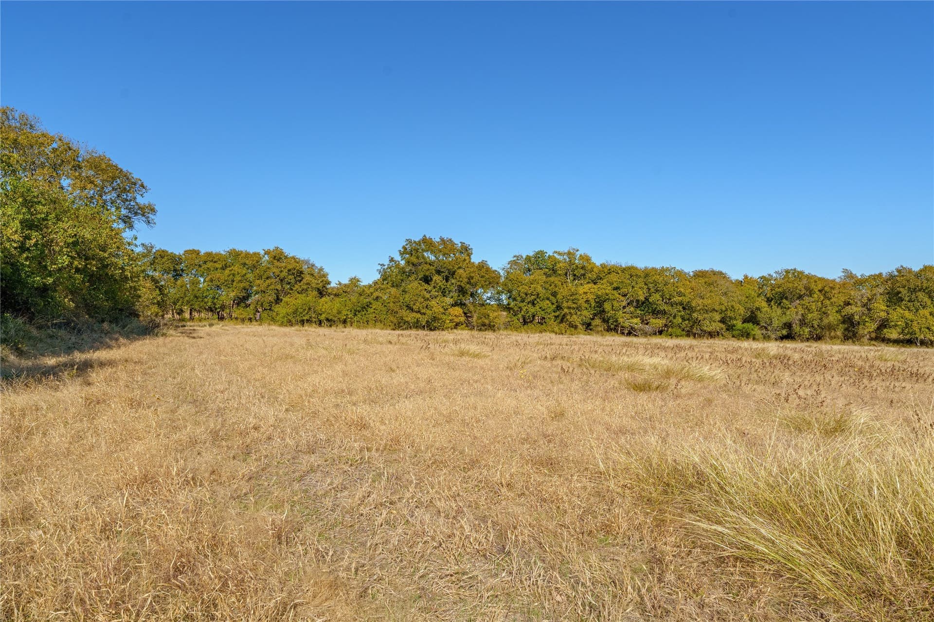 100.49 acres in McLennan County - photo 32