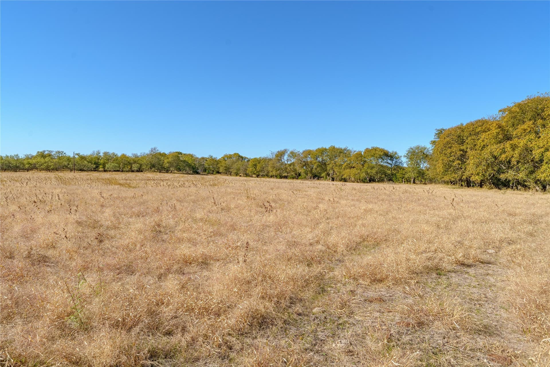 100.49 acres in McLennan County - photo 30