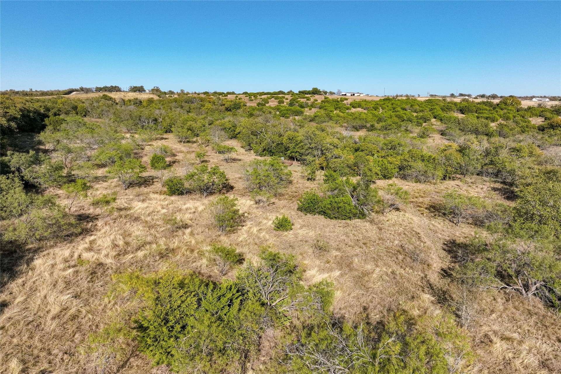 100.49 acres in McLennan County - photo 19