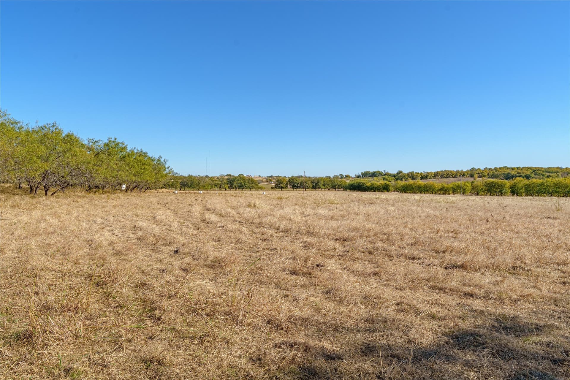 100.49 acres in McLennan County - photo 29