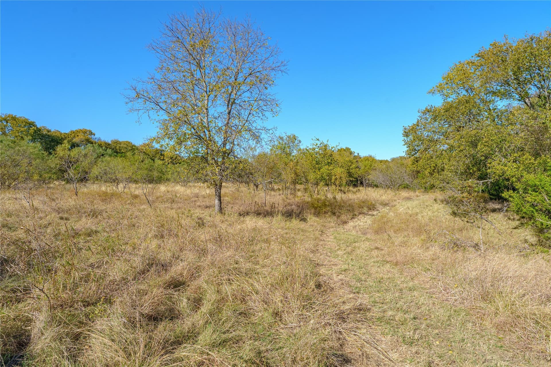 100.49 acres in McLennan County - photo 35