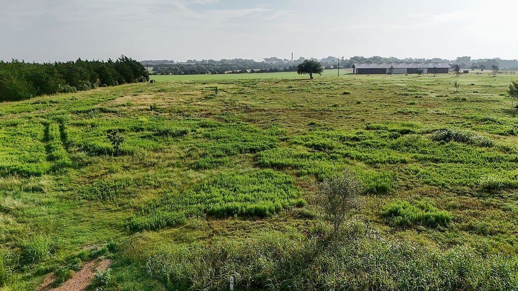 2.99 acres in Fayette County gallery image 4