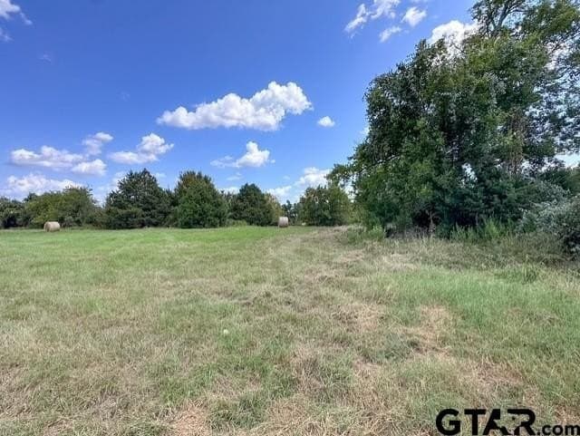 28.5 acres in Anderson County - photo 21