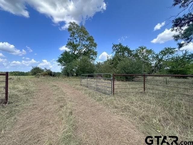 28.5 acres in Anderson County - photo 3