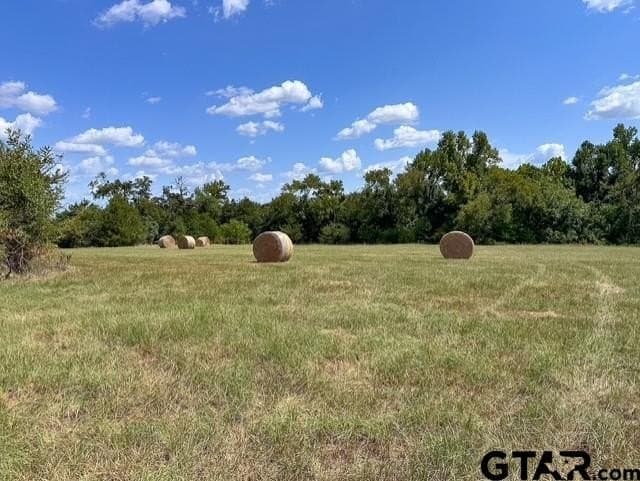 28.5 acres in Anderson County - photo 14