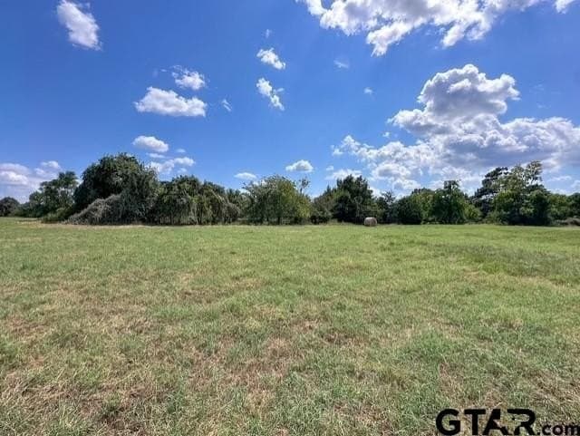 28.5 acres in Anderson County - photo 6