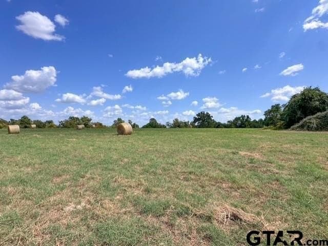 28.5 acres in Anderson County - photo 5