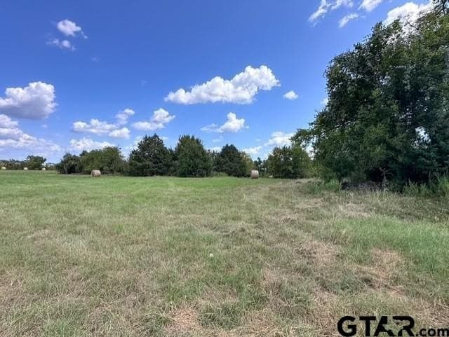 28.5 acres in Anderson County - photo 22