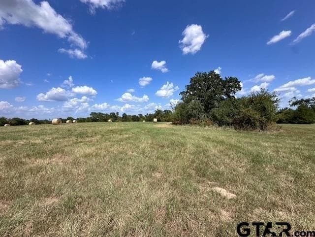 28.5 acres in Anderson County - photo 9