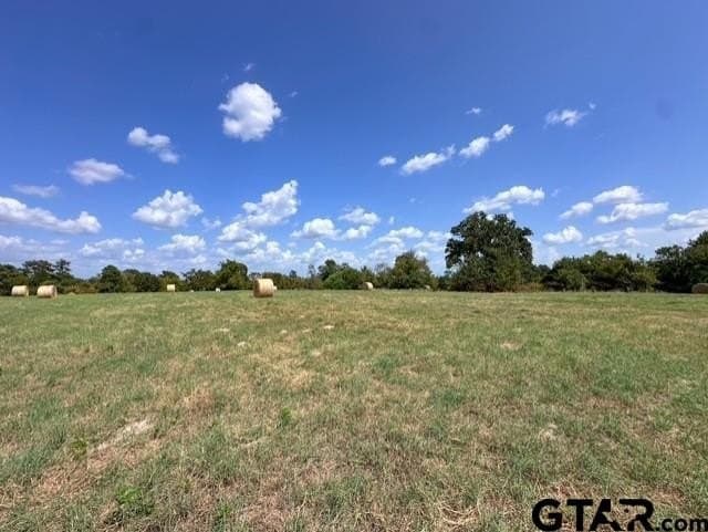 28.5 acres in Anderson County - photo 15