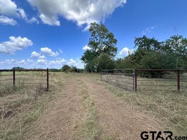 28.5 acres in Anderson County - photo 2