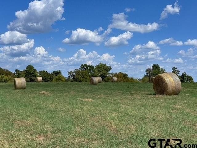 28.5 acres in Anderson County - photo 17