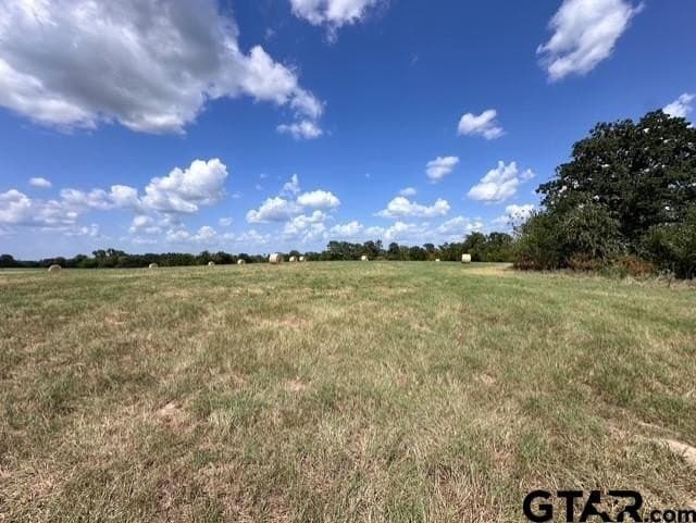 28.5 acres in Anderson County - photo 10