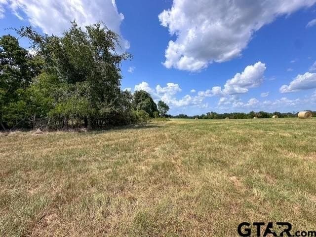 28.5 acres in Anderson County - photo 11