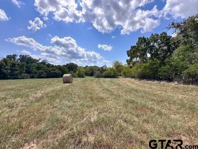 28.5 acres in Anderson County - photo 13