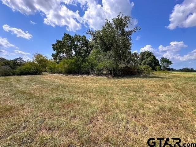 28.5 acres in Anderson County - photo 12