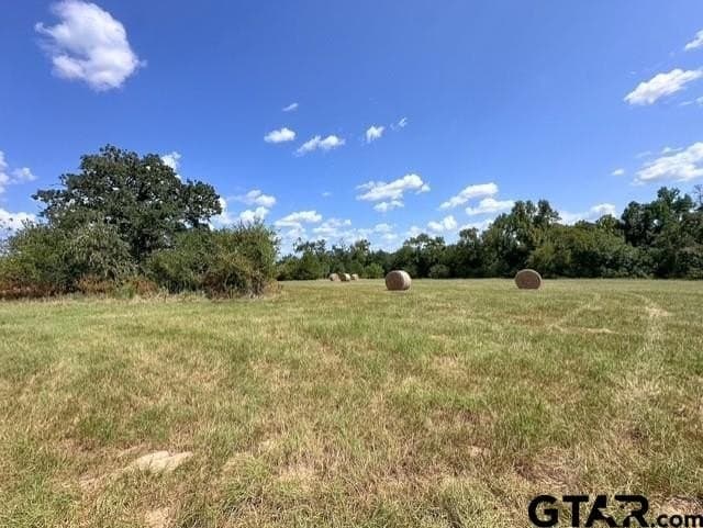 28.5 acres in Anderson County - photo 8