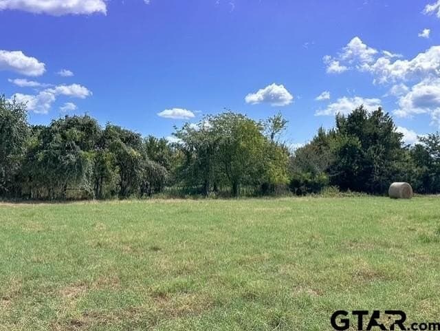 28.5 acres in Anderson County - photo 7