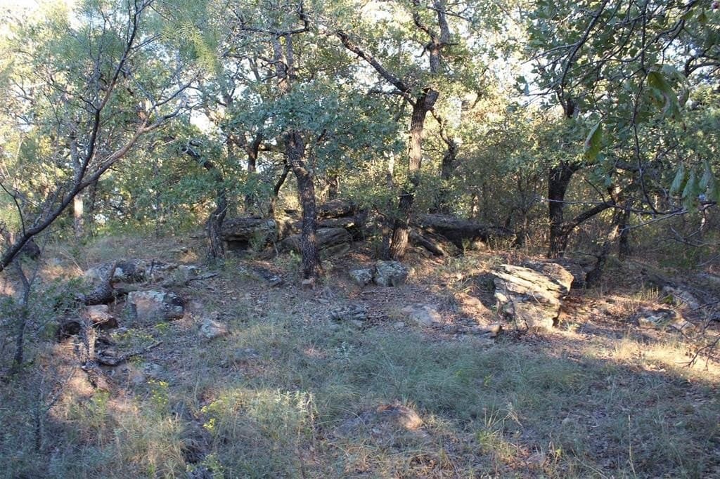 10 acres in Montague County gallery image 3