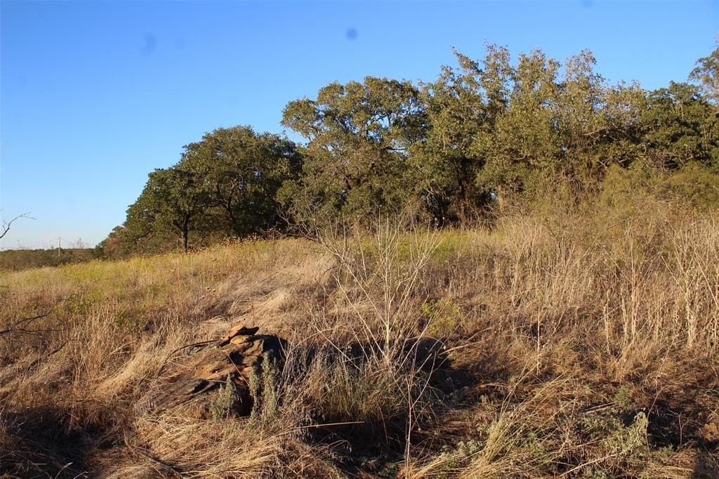 10 acres in Montague County featured view