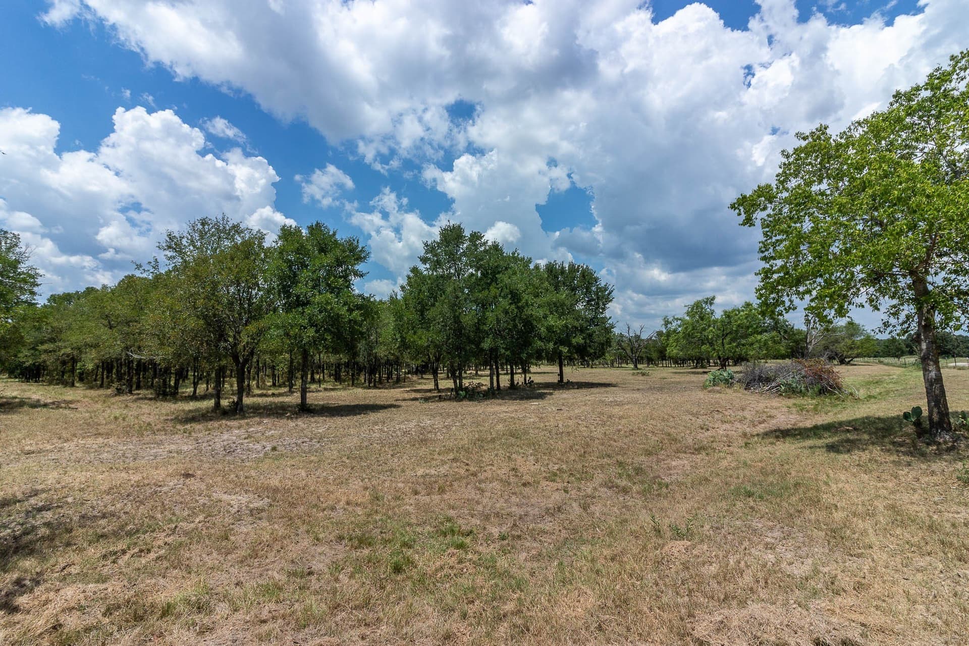 23.61 acres in Kaufman County - photo 6
