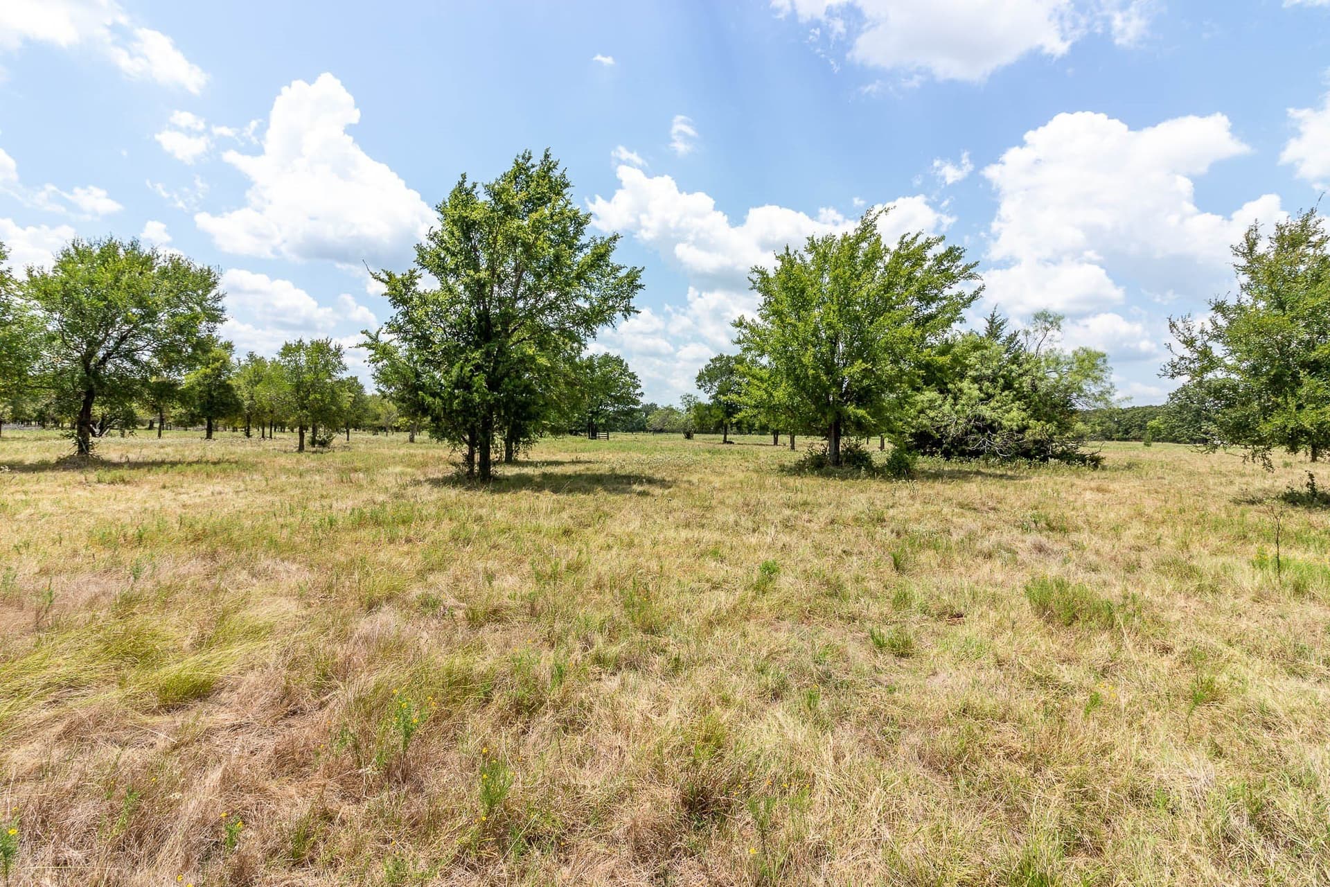 23.61 acres in Kaufman County - photo 9