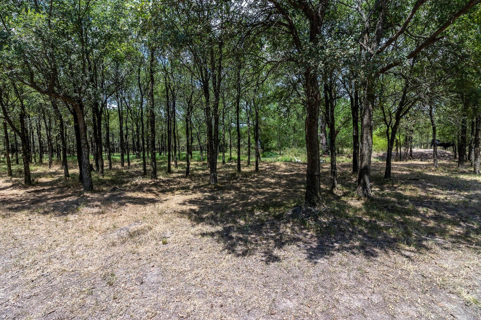 23.61 acres in Kaufman County featured view