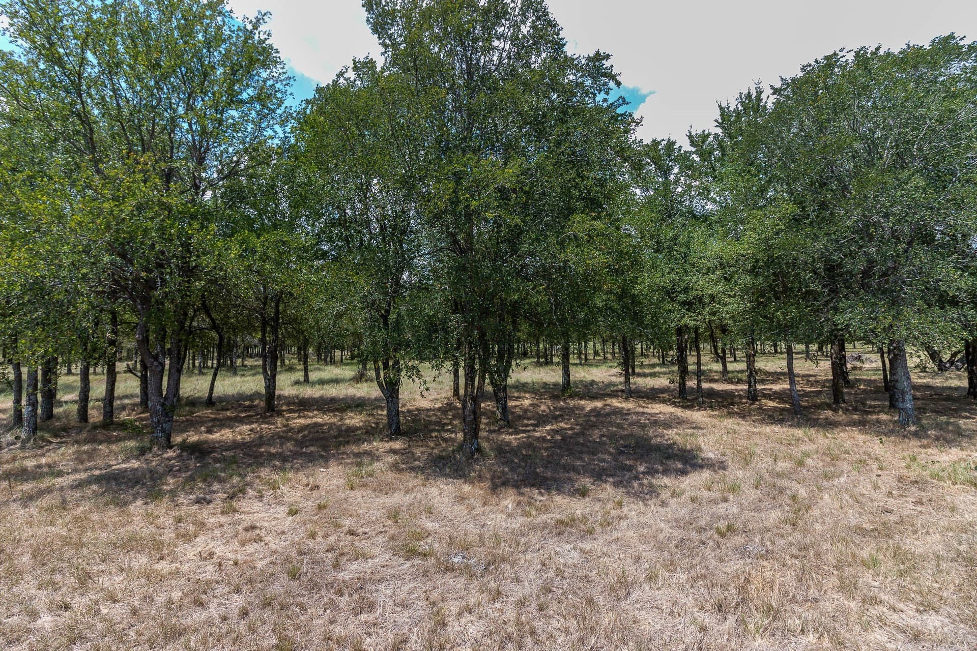23.61 acres in Kaufman County - photo 8