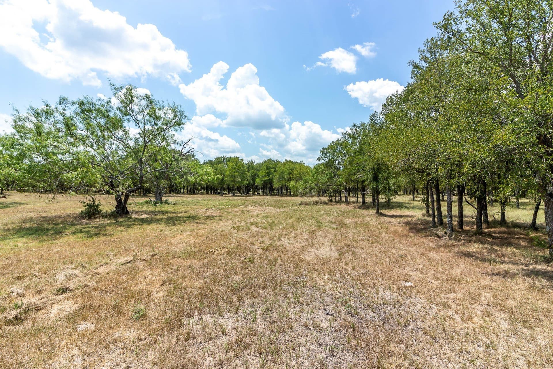 23.61 acres in Kaufman County - photo 7