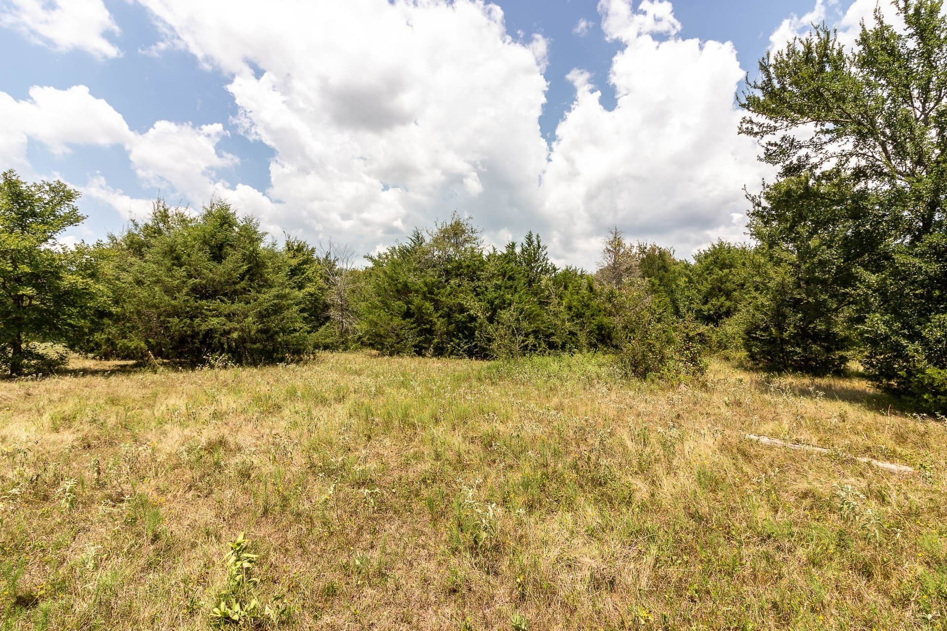 23.61 acres in Kaufman County - photo 10